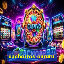 cachorros cururu